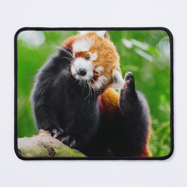 Item preview, Cute Red Panda Photo designed and sold by TheAnimalZ00.