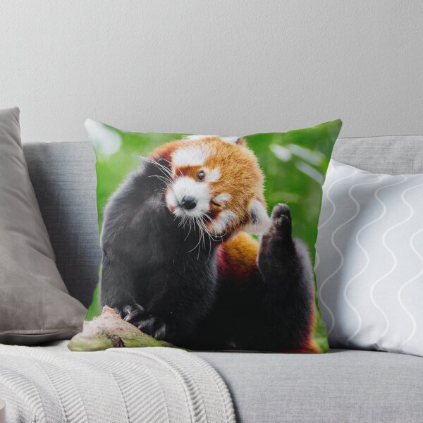 Artikelvorschau, Niedliches Foto des Roten Pandas entworfen und verkauft von TheAnimalZ00.