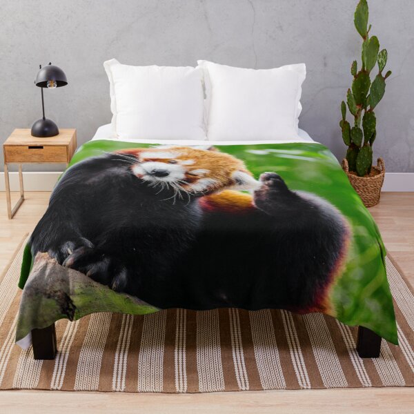 Artikelvorschau, Niedliches Foto des Roten Pandas entworfen und verkauft von TheAnimalZ00.