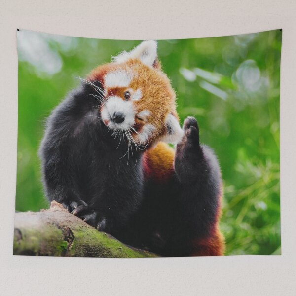 Artikelvorschau, Niedliches Foto des Roten Pandas entworfen und verkauft von TheAnimalZ00.