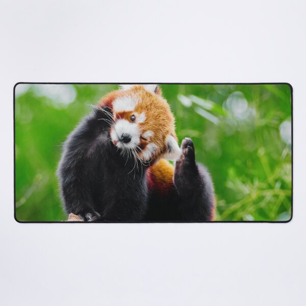 Item preview, Cute Red Panda Photo designed and sold by TheAnimalZ00.