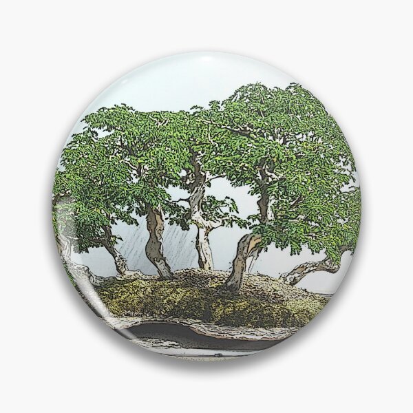Aperçu de l'œuvre Bonsai créée et vendue par O-Time.