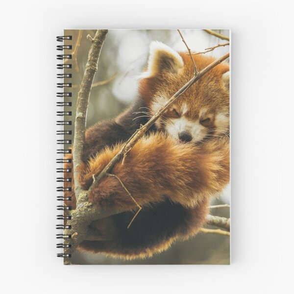 Item preview, Sleeping Red Panda  designed and sold by TheAnimalZ00.