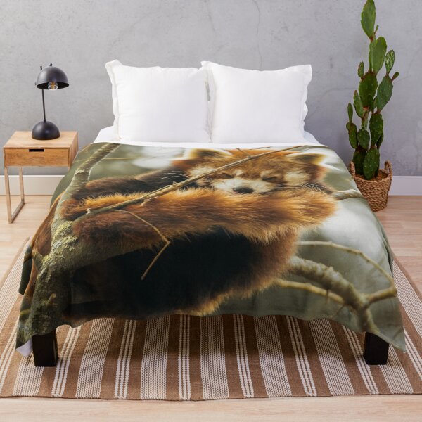 Item preview, Sleeping Red Panda designed and sold by TheAnimalZ00.