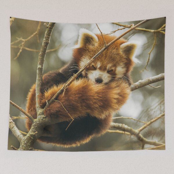Item preview, Sleeping Red Panda  designed and sold by TheAnimalZ00.