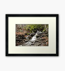 Smoky Mountain Stream Framed Print