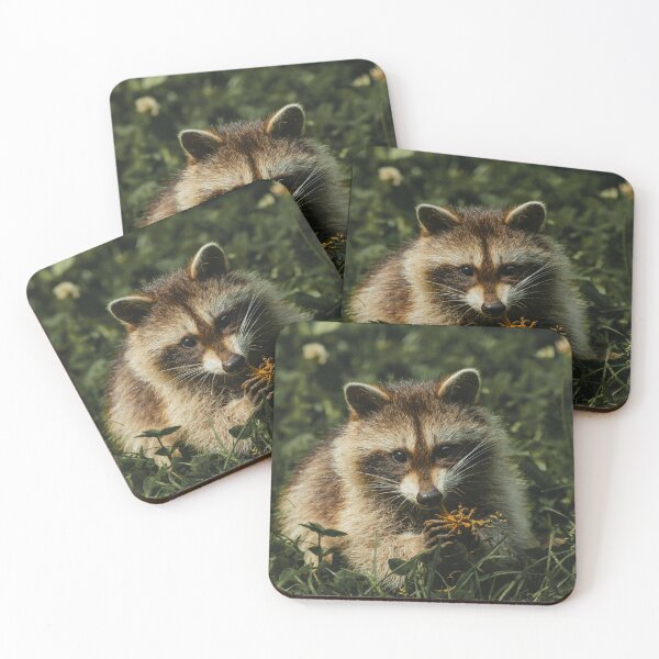 Item preview, Cute Raccoon  designed and sold by TheAnimalZ00.