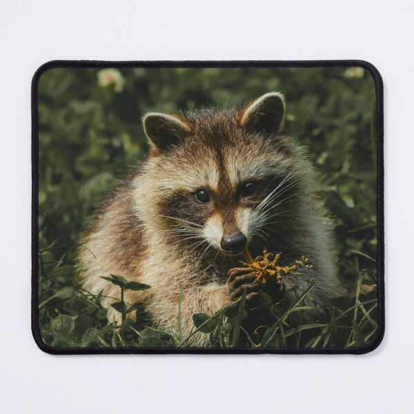 Item preview, Cute Raccoon  designed and sold by TheAnimalZ00.