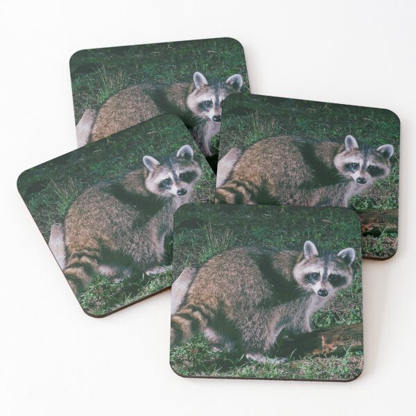 Item preview, Night Raccoon  designed and sold by TheAnimalZ00.