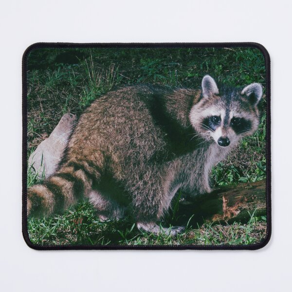 Item preview, Night Raccoon  designed and sold by TheAnimalZ00.