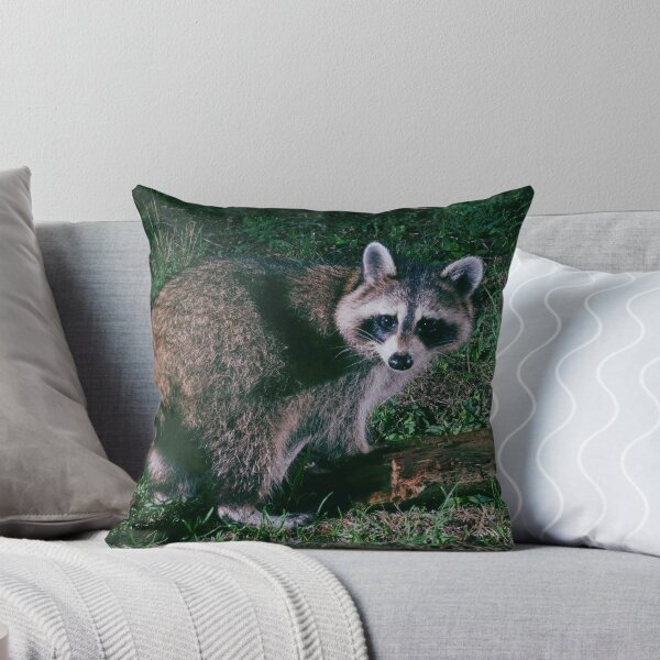 Item preview, Night Raccoon  designed and sold by TheAnimalZ00.