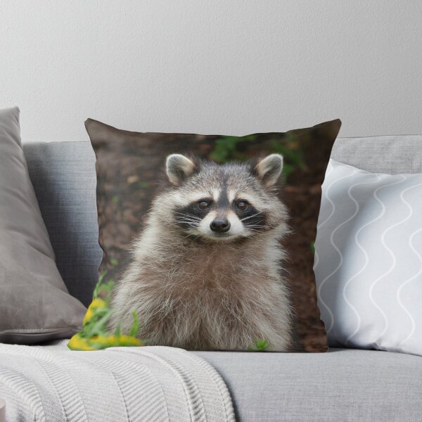 Item preview, Raccoon Photo designed and sold by TheAnimalZ00.