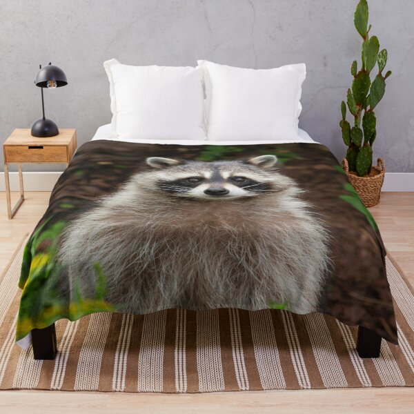 Item preview, Raccoon Photo designed and sold by TheAnimalZ00.