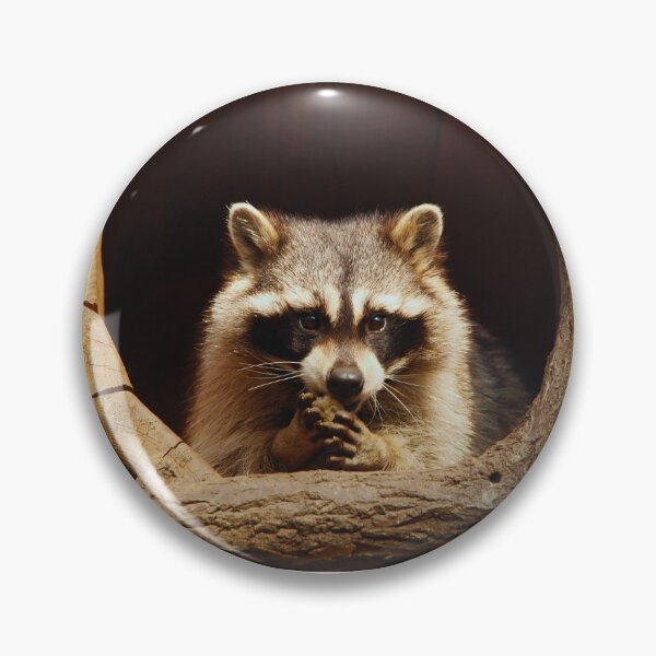 Item preview, Raccoon  designed and sold by TheAnimalZ00.