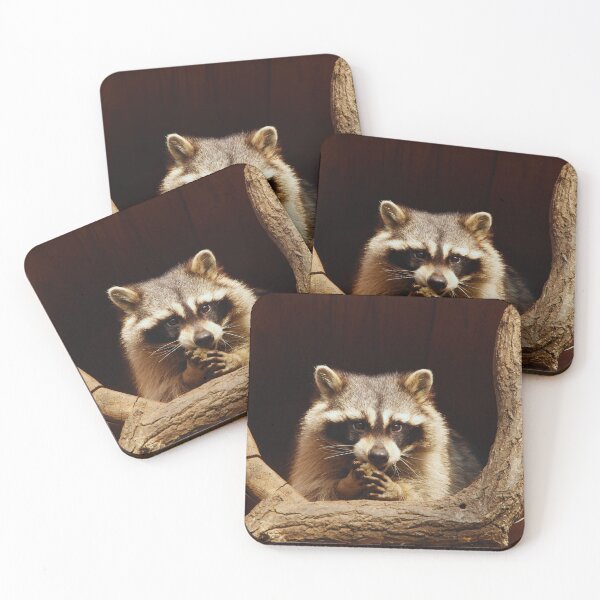 Item preview, Raccoon  designed and sold by TheAnimalZ00.