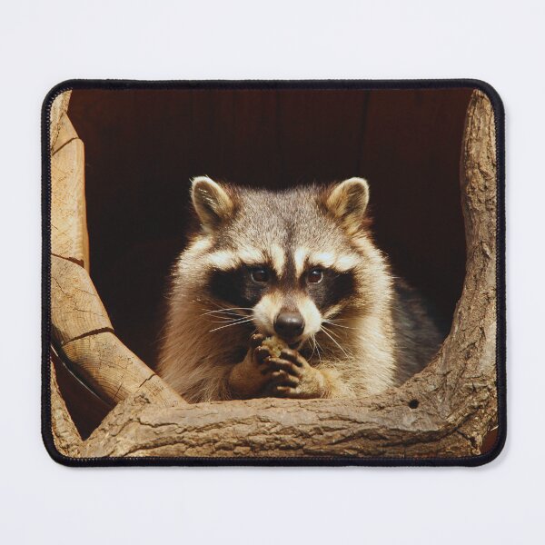 Item preview, Raccoon  designed and sold by TheAnimalZ00.