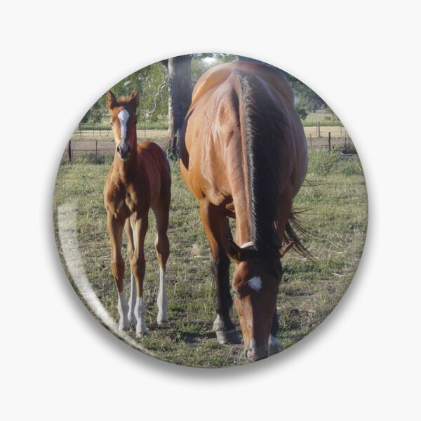 Item preview, Bay mare with a chestnut foal in a paddock designed and sold by EquusEducation.