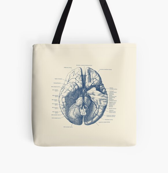 Simple Human Heart Diagram Tote Bag by Vintage Anatomy Prints
