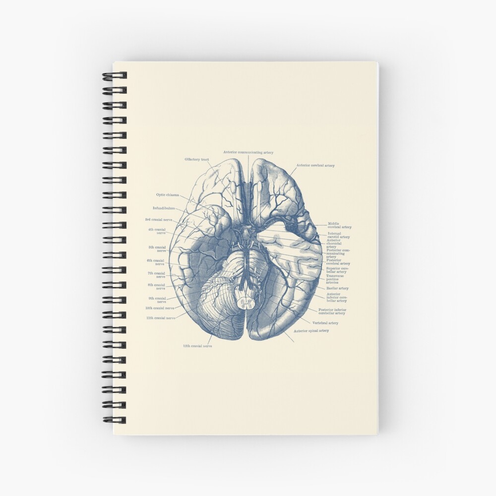 Human Brain Diagram Spiral Notebook