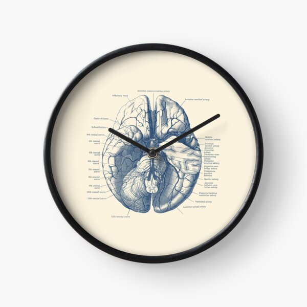 Item preview, Human Brain Diagram designed and sold by VAposters.