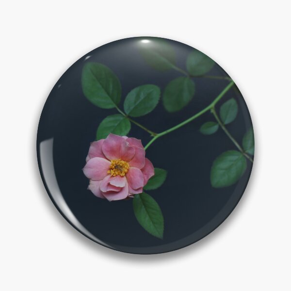 Artikelvorschau, Rosa Rose auf schwarzem Grund entworfen und verkauft von JenTrinhArt.