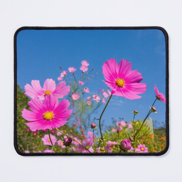 Item preview, pink cosmos 2 designed and sold by yunee.