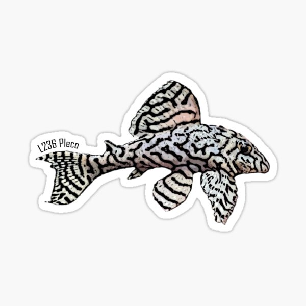 Item preview, L236 Pleco fish designed and sold by Morphsgraphics.