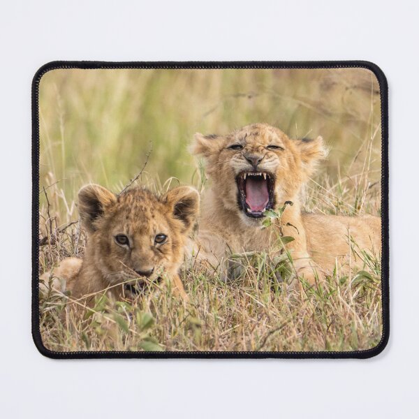 Item preview, A Yawn To Start The Day designed and sold by Andrew Goodall.