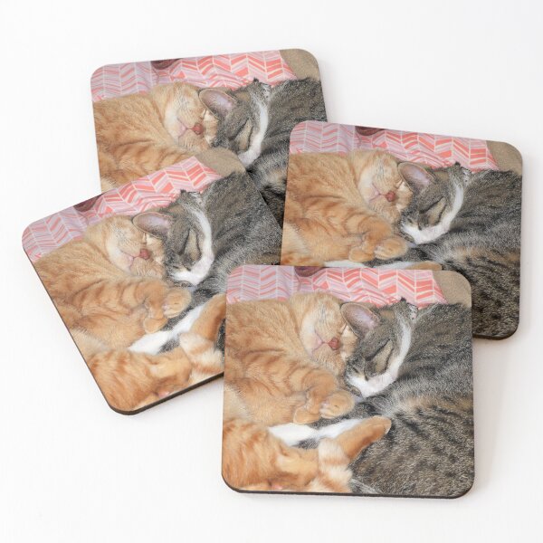 Aperçu de l'œuvre Nap Buddies créée et vendue par Frankie Cat Photography.