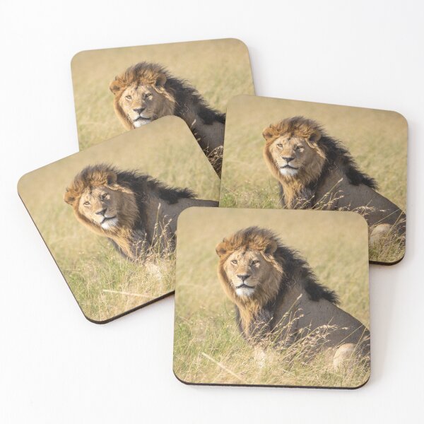 Item preview, Windswept Lion - Serengeti, Tanzania designed and sold by Andrew Goodall.