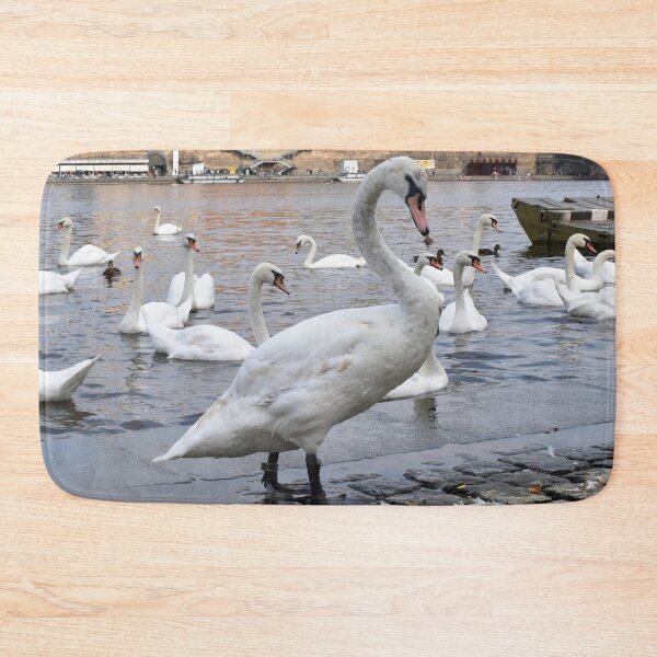 Item preview, Swans on the Vltava River, Prague, Czech Republic designed and sold by Karen  Espig.