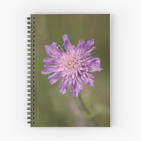 Aperçu de l'œuvre Coléoptère vert et fleur violette créée et vendue par GoizaneHM.