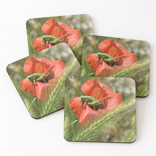 Item preview, Grasshopper on a Wild Poppy, Berat, Albania designed and sold by Karen  Espig.