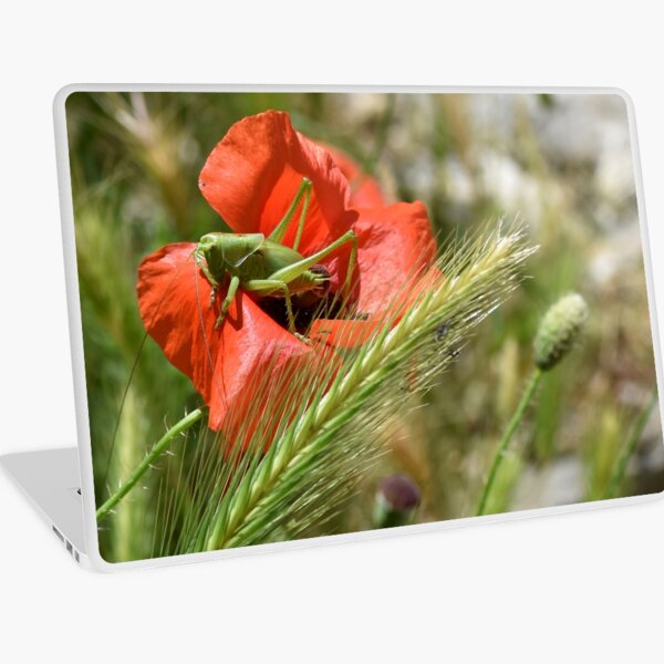Grasshopper on a Wild Poppy, Berat, Albania Laptop Skin