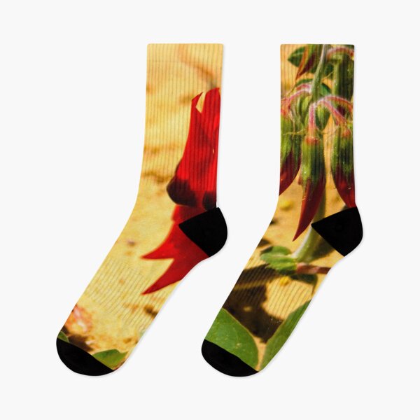 Item preview, Vibrant Sturts Desert Peas - Australian Native Flora Photography designed and sold by Paul Yeatman.