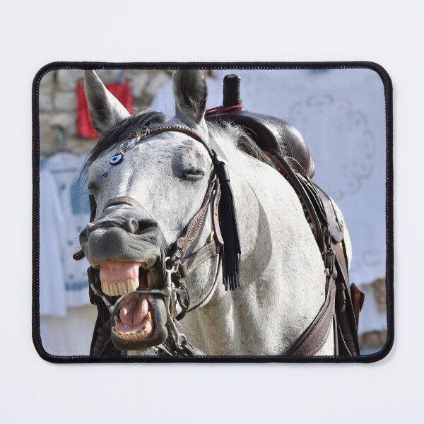 Just Horsing Around, Berat, Albania Mouse Pad