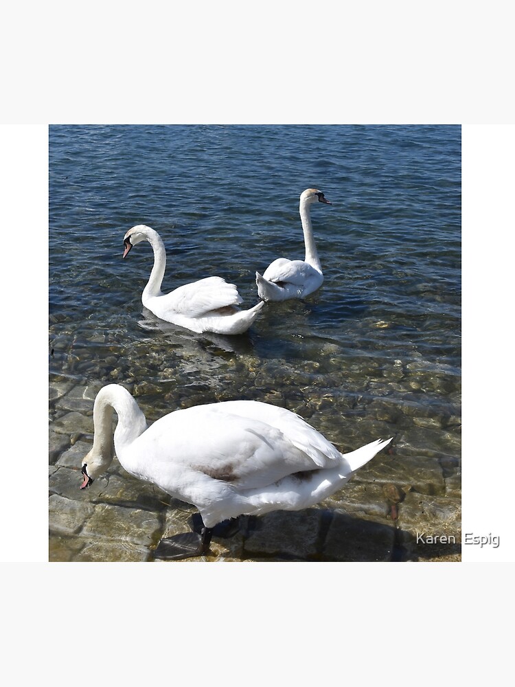 Thumbnail 5 of 5, Shower Curtain, Swans in the Harbour, Ohrid, North Macedonia designed and sold by KarenEspig.