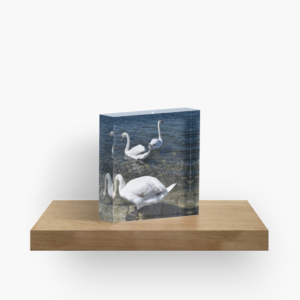 Item preview, Acrylic Block designed and sold by KarenEspig.