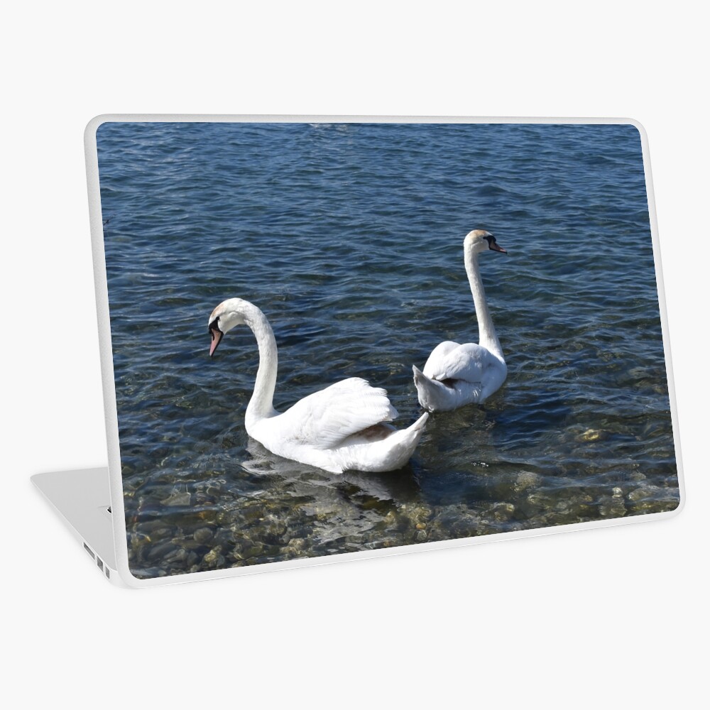 Item preview, Laptop Skin designed and sold by KarenEspig.