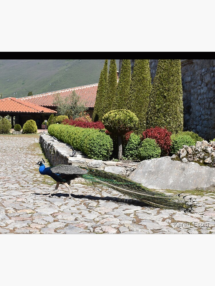 Thumbnail 5 of 5, Shower Curtain, Saint Naum Peacock in the Gardens, North Macedonia designed and sold by KarenEspig.