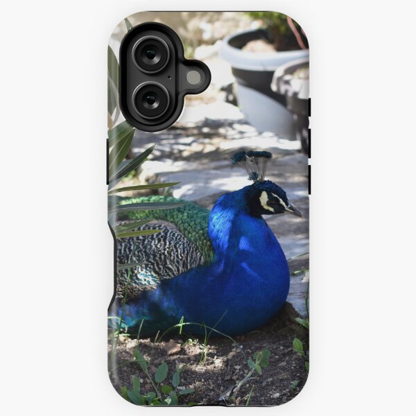 Peacock in the Garden, Saint Naum, North Macedonia iPhone Tough Case