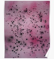 Martin Boisvert - Rose feline Poster