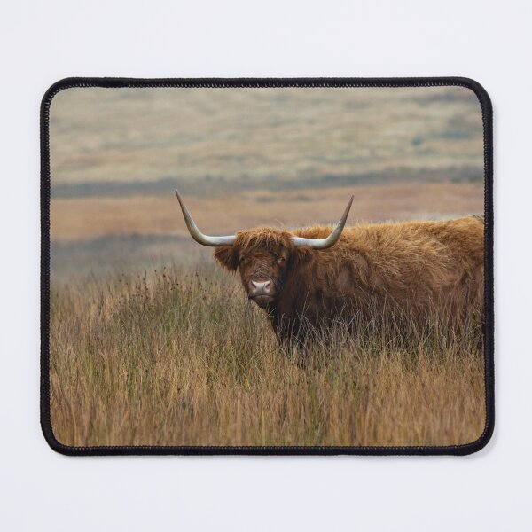 Item preview, Highland Coo designed and sold by DJChizzlesworth.