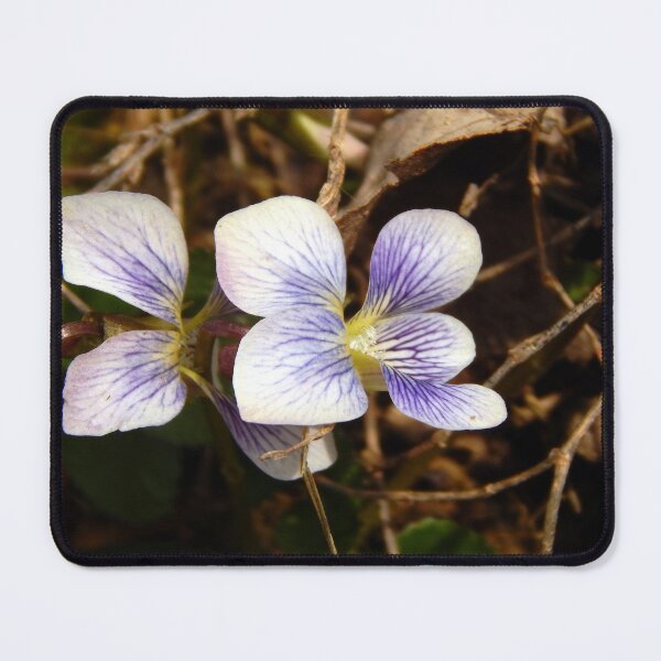 Item preview, Confederate Violet designed and sold by gistinker.