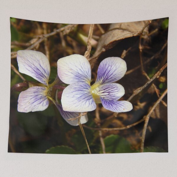 Item preview, Confederate Violet  designed and sold by gistinker.