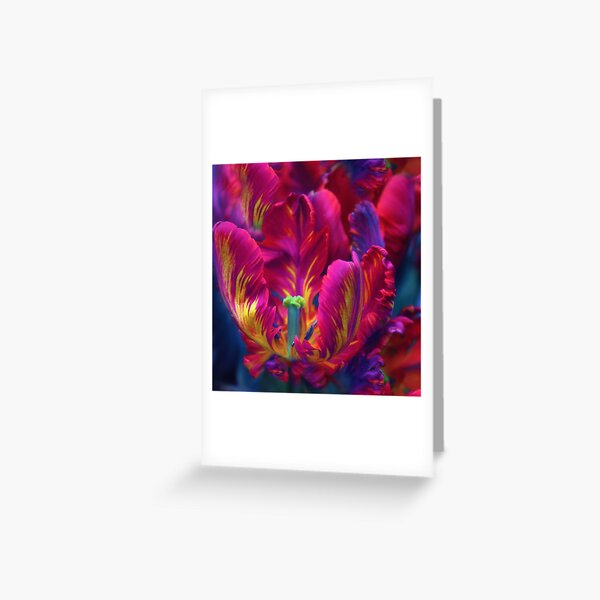 Item preview, Painterly Parrot Petals  designed and sold by Jessica Jenney.