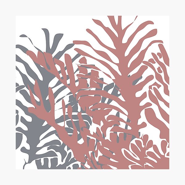 Palms in dusty blue and pink Photographic Print