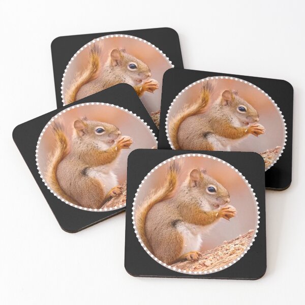 Item preview, Squirrel with a nut designed and sold by Vinson.