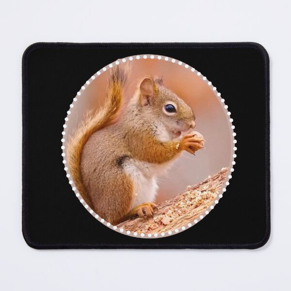 Item preview, Squirrel with a nut designed and sold by Vinson.