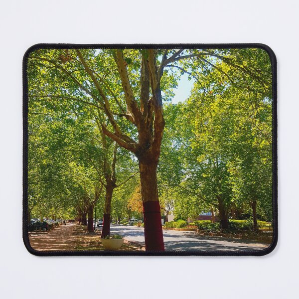 Item preview, Victoria Street in Stellenbosch designed and sold by Blissfully-MK.